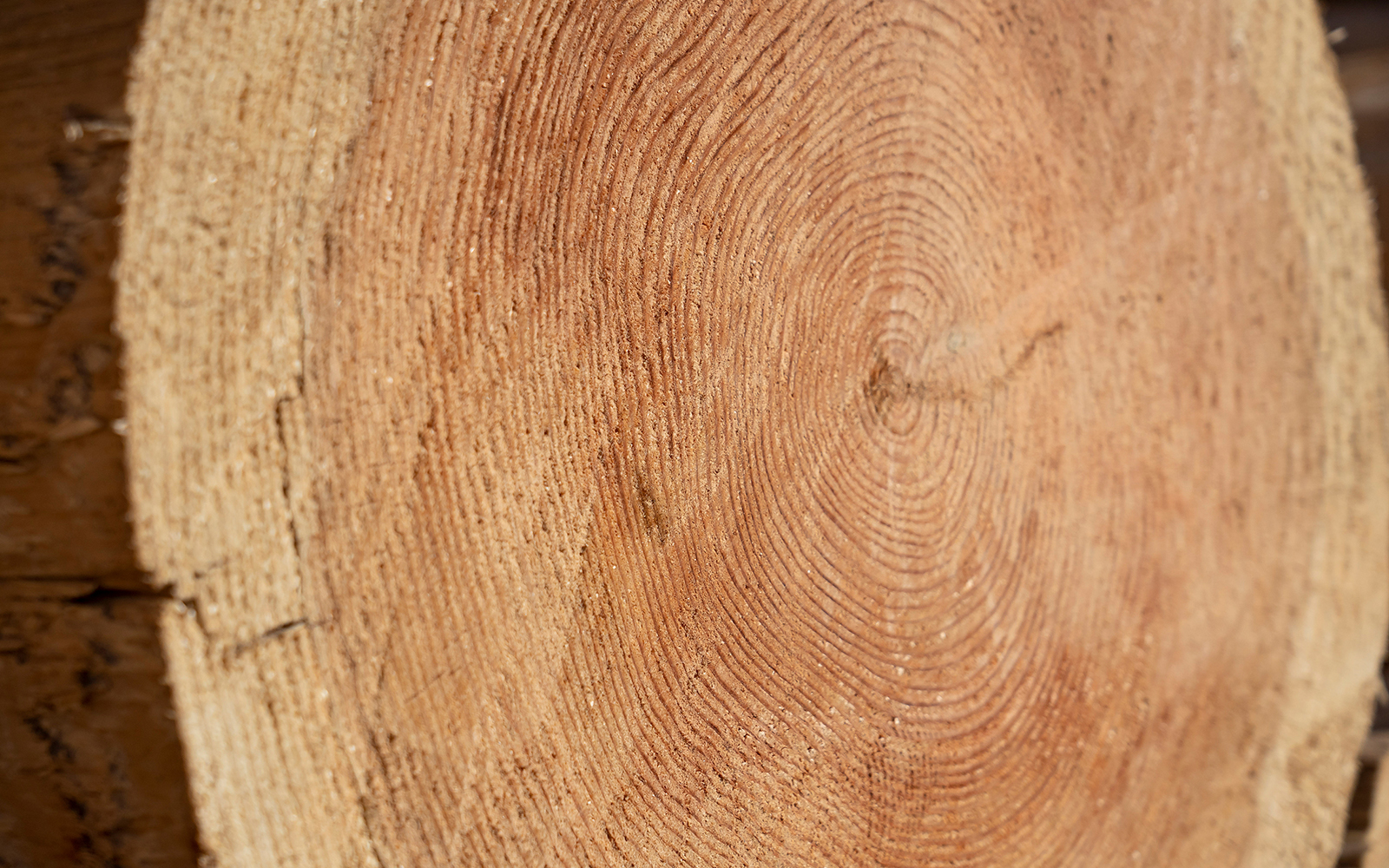 家づくりに適した「奈良の木」の特長：節が少なく年輪幅が均一で真っ直ぐな木目
