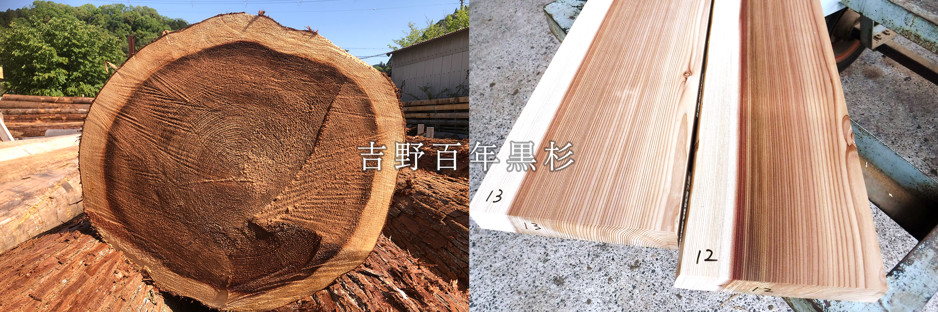 100年もの材木取り放題 8/17、18】WOODコレクション2024「JAPANReWOOD」にMOCTIONが出展します