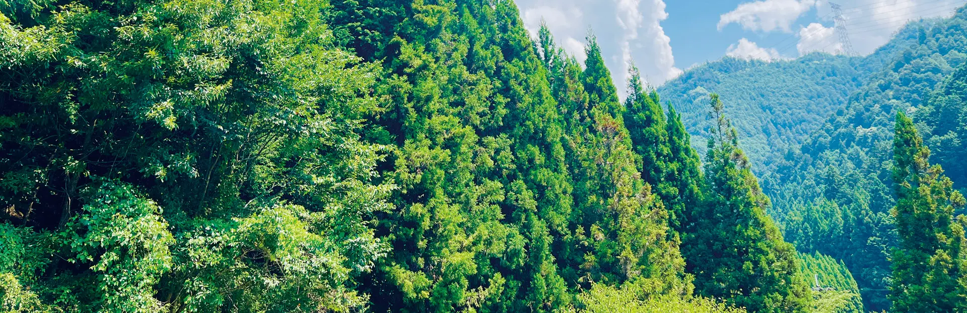 奈良の山の風景