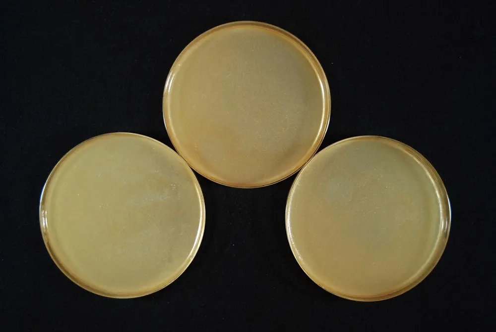 大腸菌生育状況